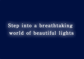 Step into a breathtaking world of beautiful lights