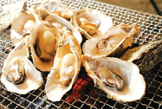Oesters