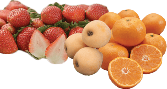 Fruit