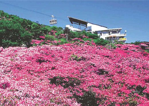 Desfiladero de Nita, Unzen