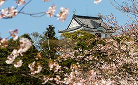 Japanese Culture