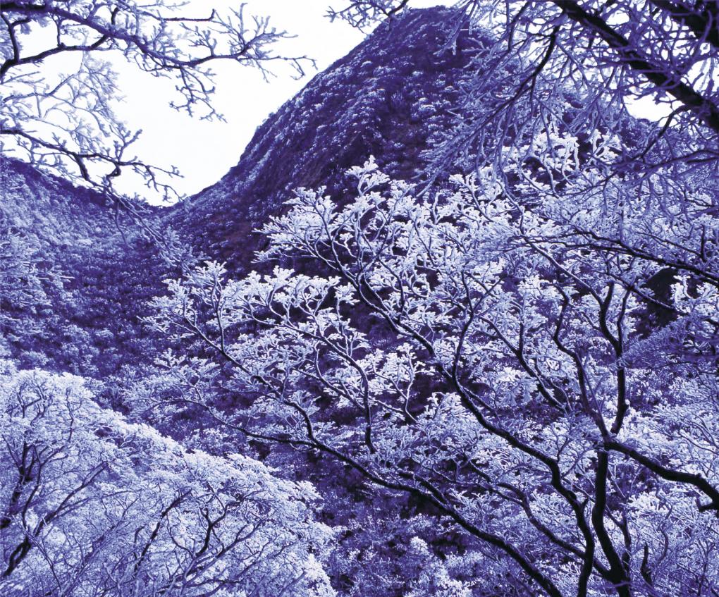Unzen Hikari-no-Hanabouro Illuminations (Light displays and fireworks)