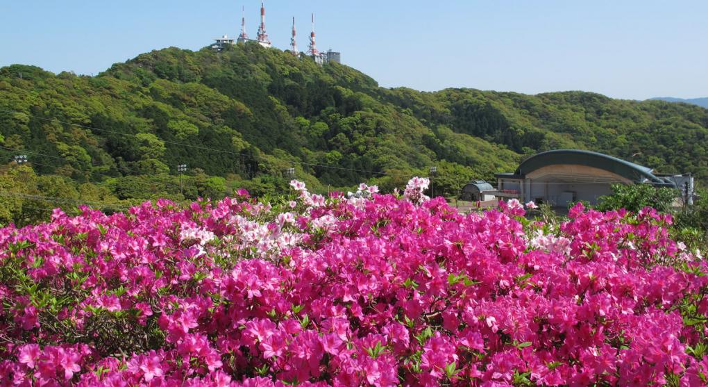  Mount Inasa Azalea Festival