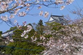 Hirado Castle