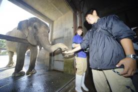 Kujukushima Zoological and Botanical Garden Mor...