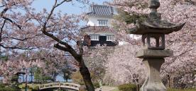 Omura Flower Festival