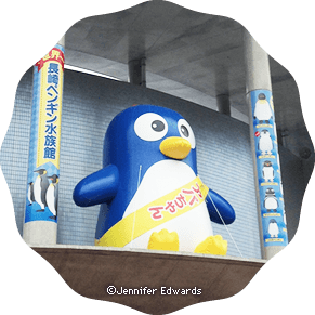 Penguin Aquarium