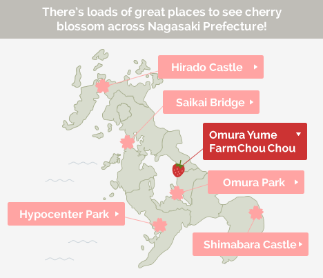 SAKURA MAP