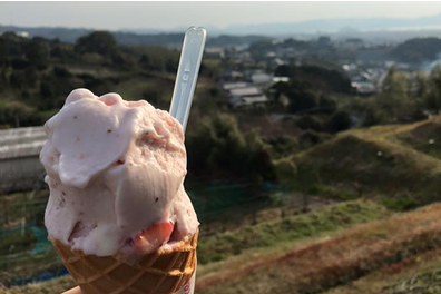 Omura Yume Farm Chou Chou