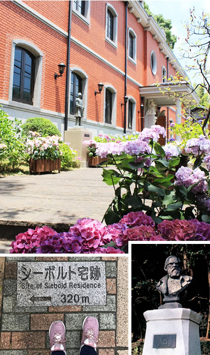 Siebold Memorial Museum